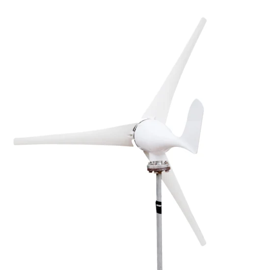 Оптовая продажа бытовой белый 100 Вт 200 Вт 300 Вт ветряная турбина ветрогенератор морские ветрогенераторы
